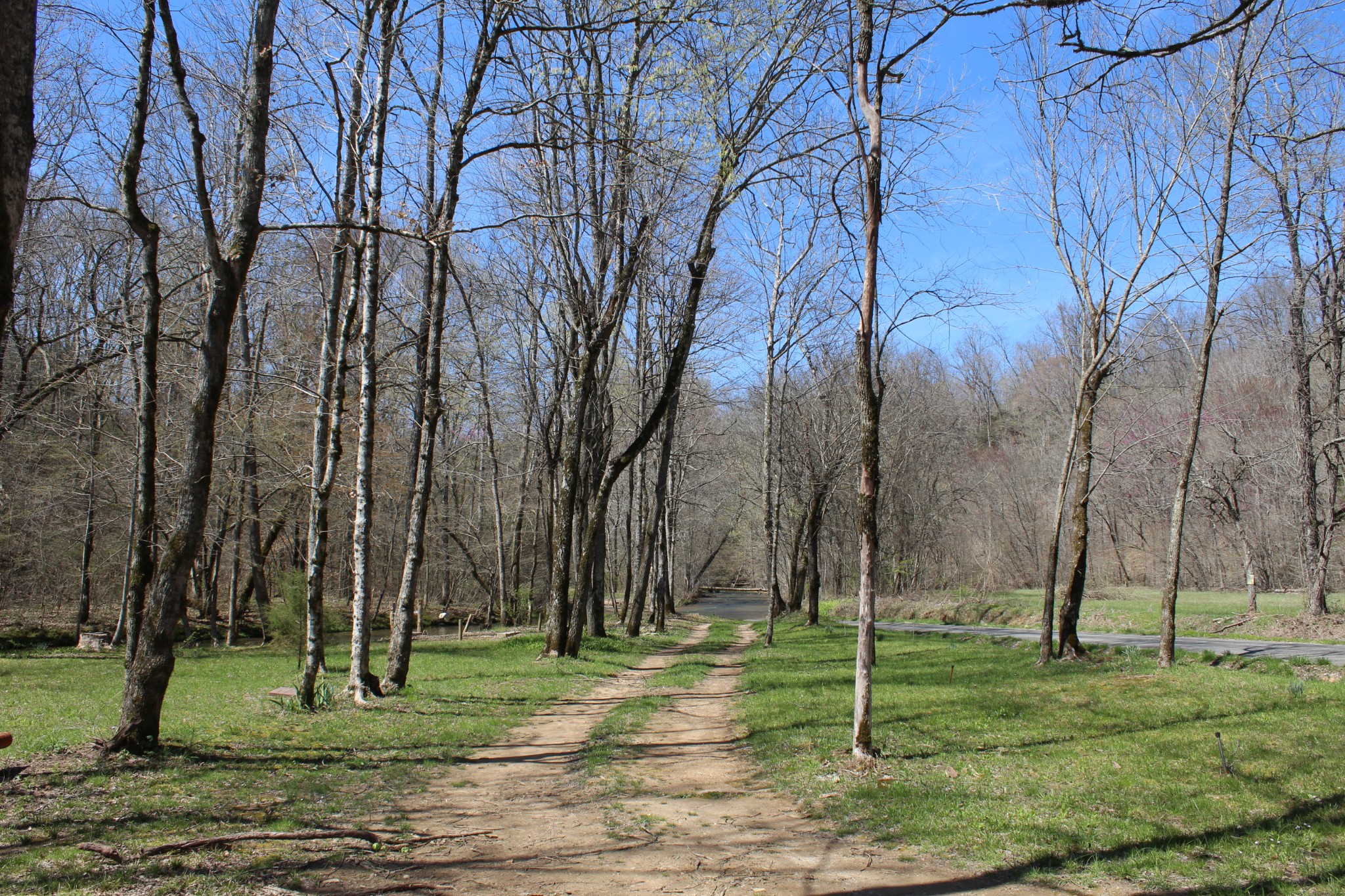 269 Spring Creek Road Lawrenceburg, TN 38464 - Photo 6 of 10 a view of a park