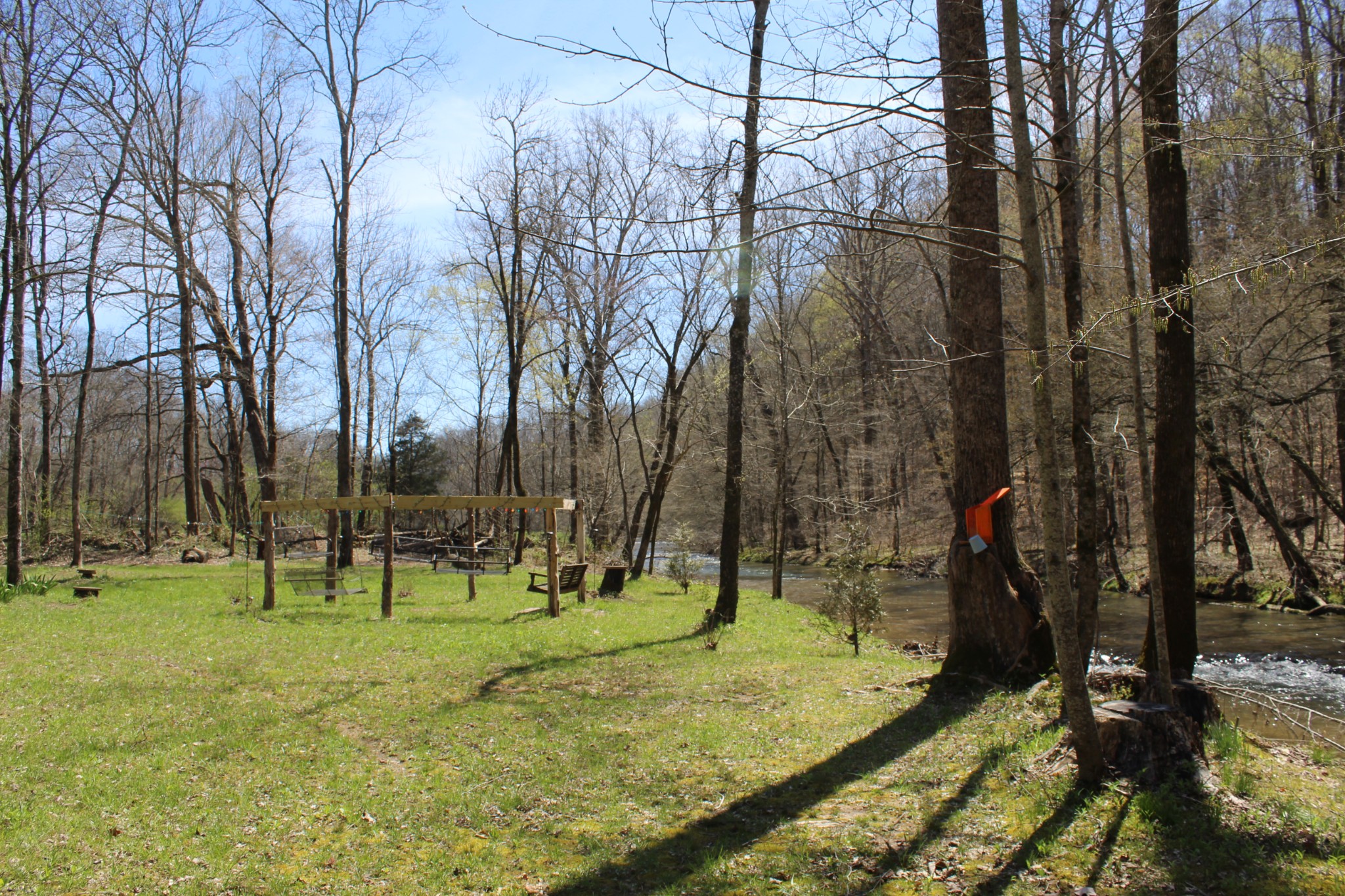269 Spring Creek Road Lawrenceburg, TN 38464 - Photo 10 of 10 a view of a park with large trees