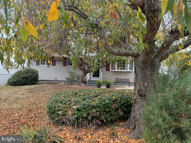 2380 Klockner Road Hamilton, NJ 08690 - Photo 21 of 21 a front view of a house with a yard and tree