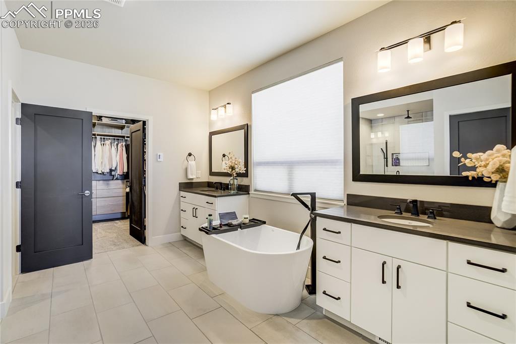 12284 Monarchos Lane Colorado Springs, CO 80921 - Photo 18 of 50 a bathroom with a bathtub sink and mirror