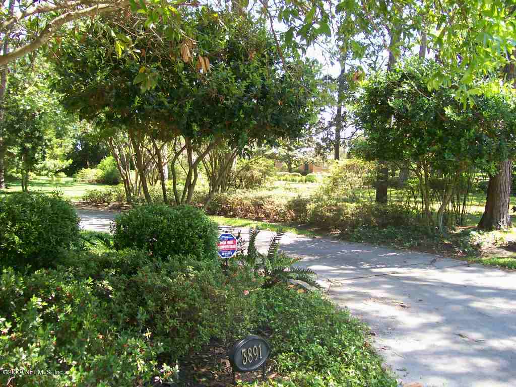 3891 Timuquana Road Jacksonville, FL 32210 - Photo 8 of 14 Timuquana