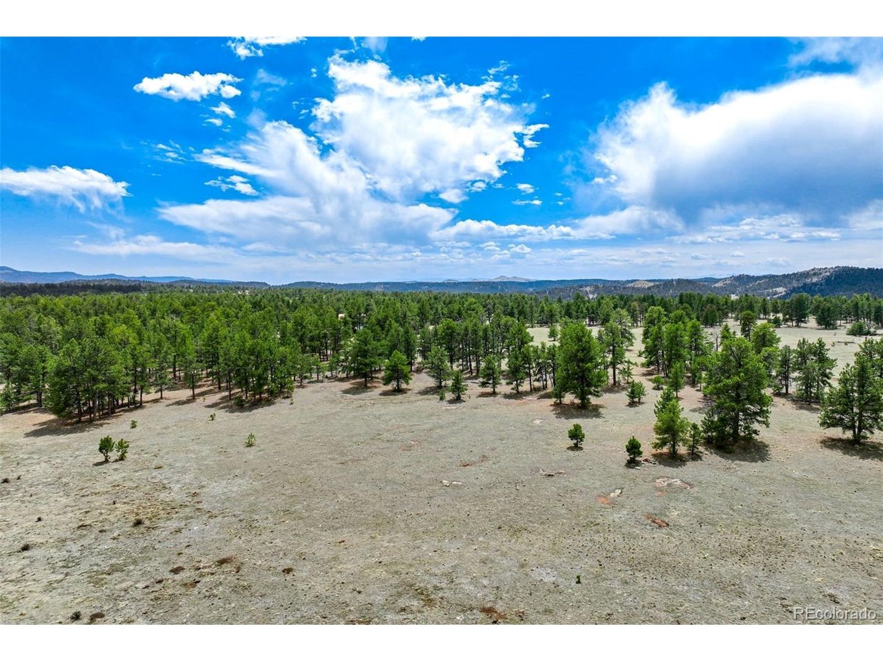 103 Doe Valley Road Guffey, CO 80820 - Photo 24 of 46