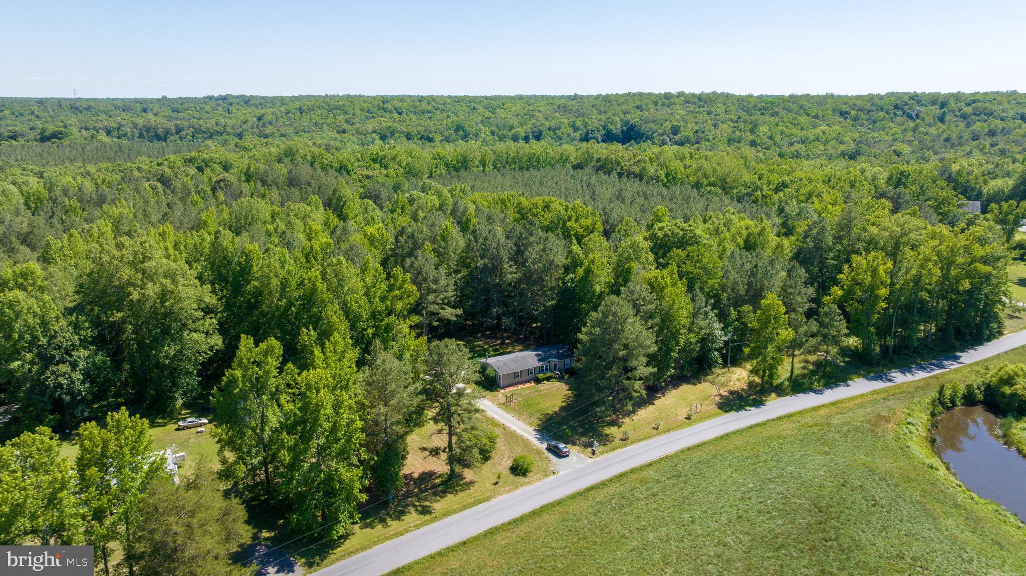 4278 Dorrell Road Aylett, VA 23009 - Photo 32 of 34 flat land all around
