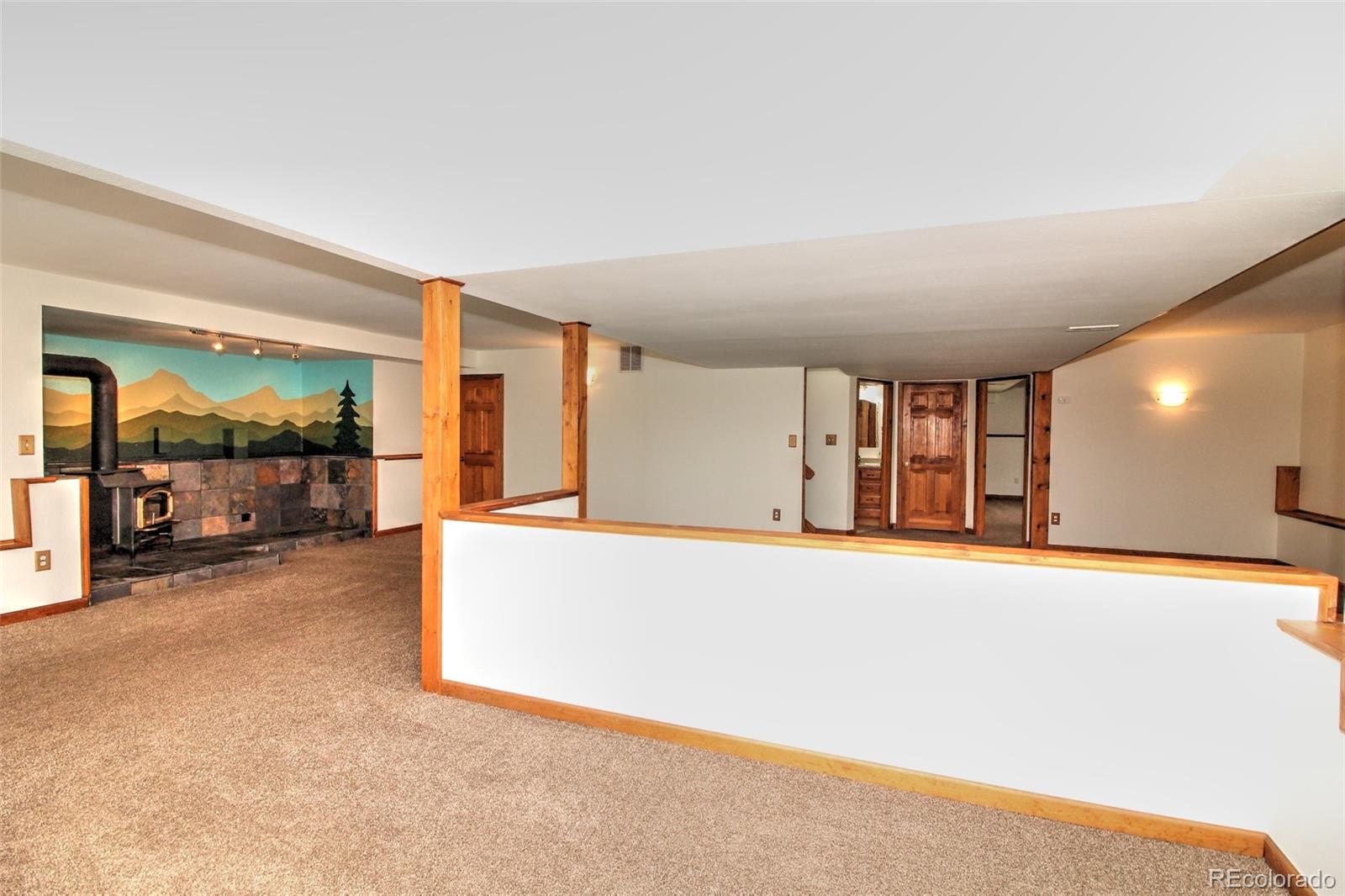 850 Hangmans Road Bailey, CO 80421 - Photo 26 of 40