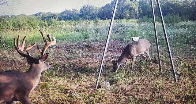 a view of a room with table & chair