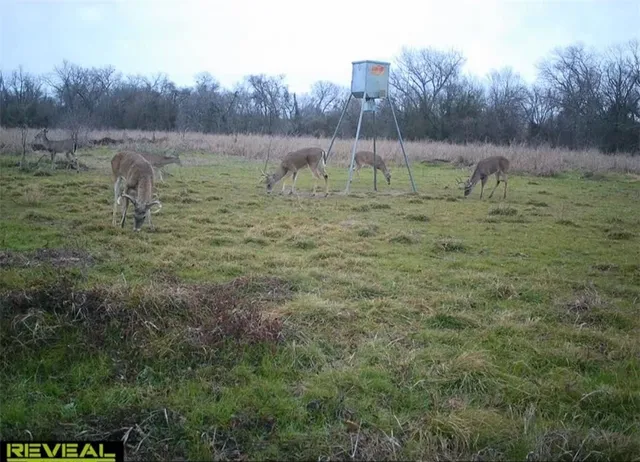 a view of a bench in the forest