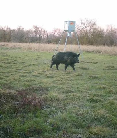 $885,000 | 413 St Marlin Tx 76661, Marlin, TX 76661