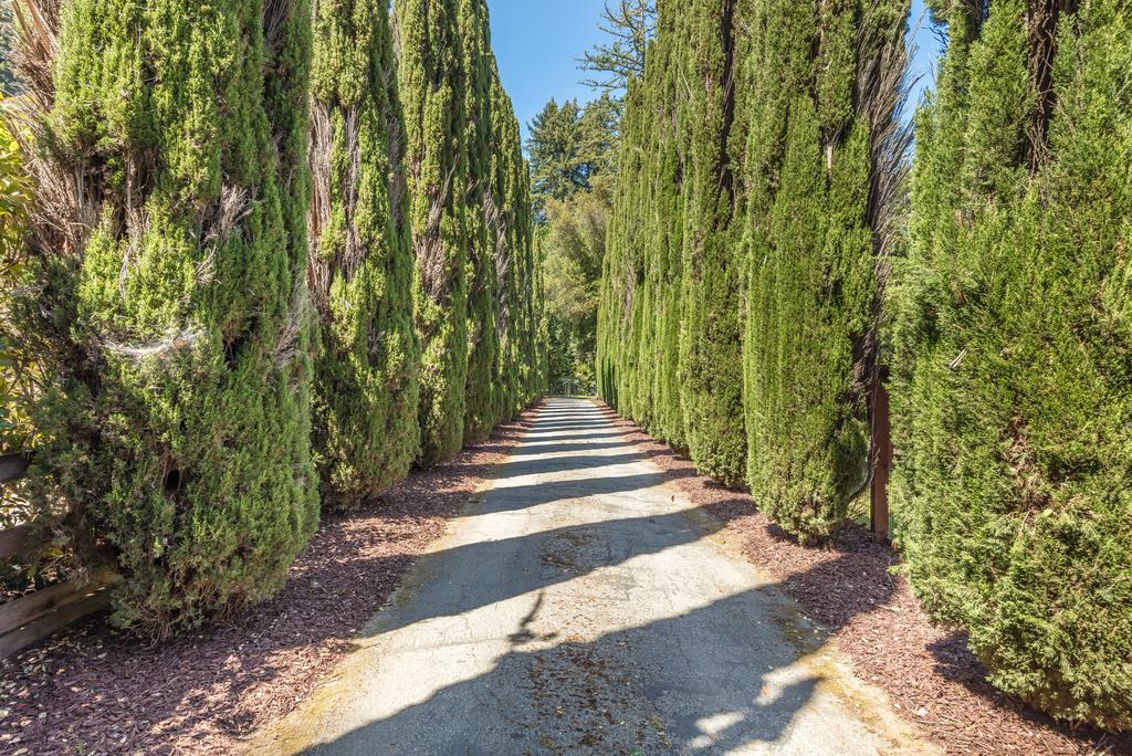 1975 Portola Road Woodside, CA 94062 - Photo 42 of 49 a view of a pathway of a park
