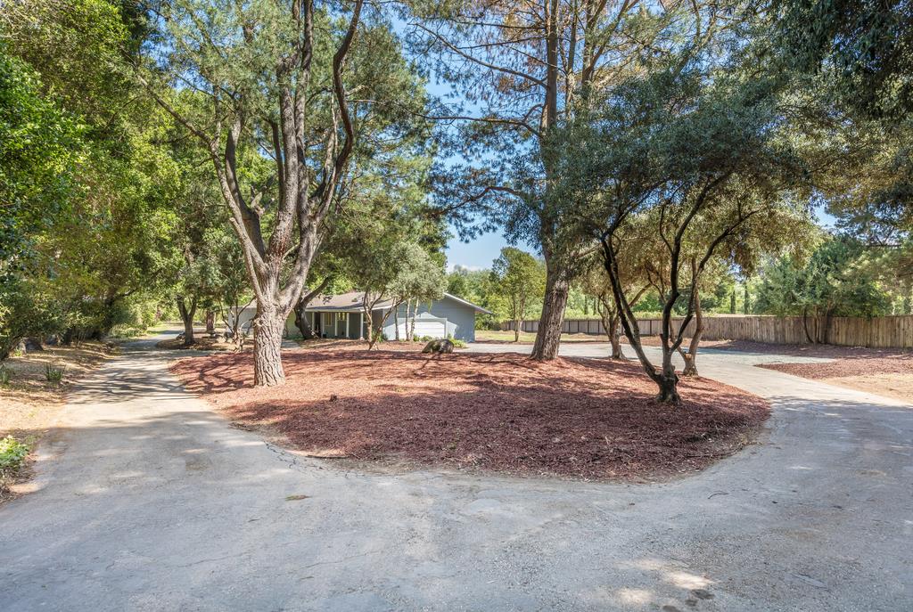 1975 Portola Road Woodside, CA 94062 - Photo 44 of 49 a view of a tree in the middle of a yard