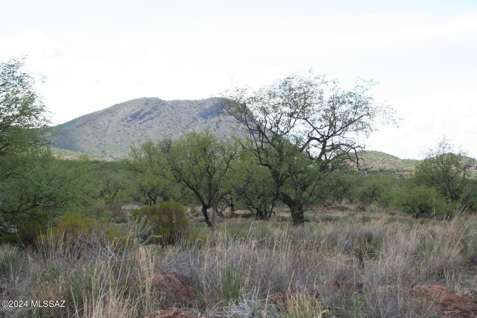 80 Morning Star Drive Rio Rico, AZ 85648 - Photo 27 of 30