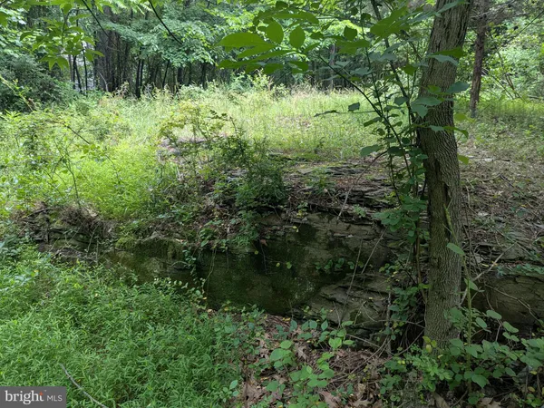 $224,900 | 1.57 Acres Chestnut Hill Road, Harpers Ferry, WV 25425