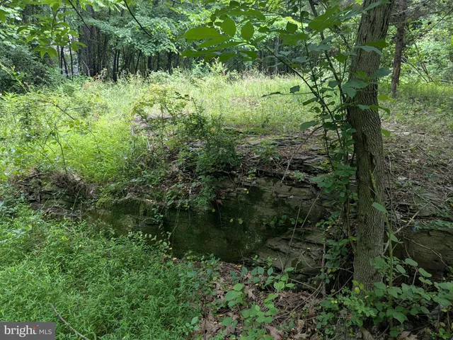 $224,900 | 1.57 Acres Chestnut Hill Road, Harpers Ferry, WV 25425