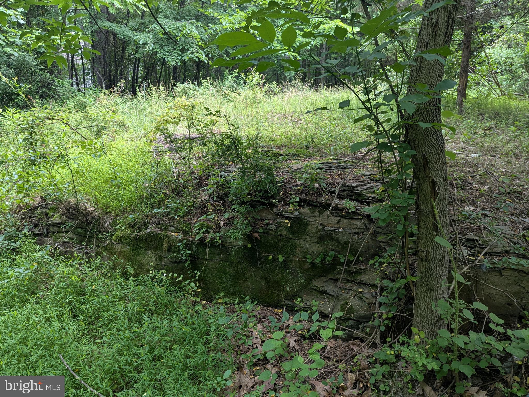 1.57 Acres Chestnut Hill Road Harpers Ferry, WV 25425 - Photo 11 of 14