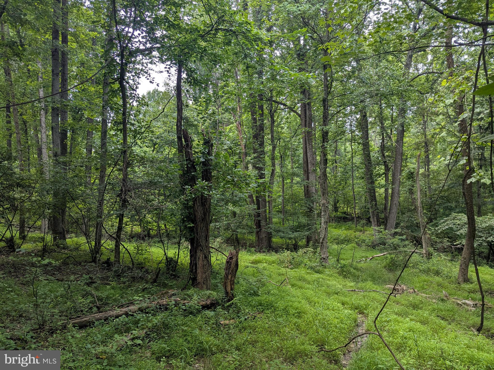 1.57 Acres Chestnut Hill Road Harpers Ferry, WV 25425 - Photo 12 of 14