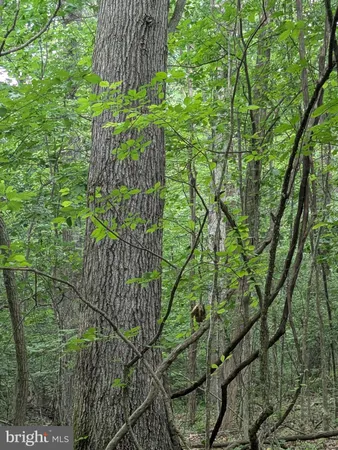 $224,900 | 1.57 Acres Chestnut Hill Road, Harpers Ferry, WV 25425