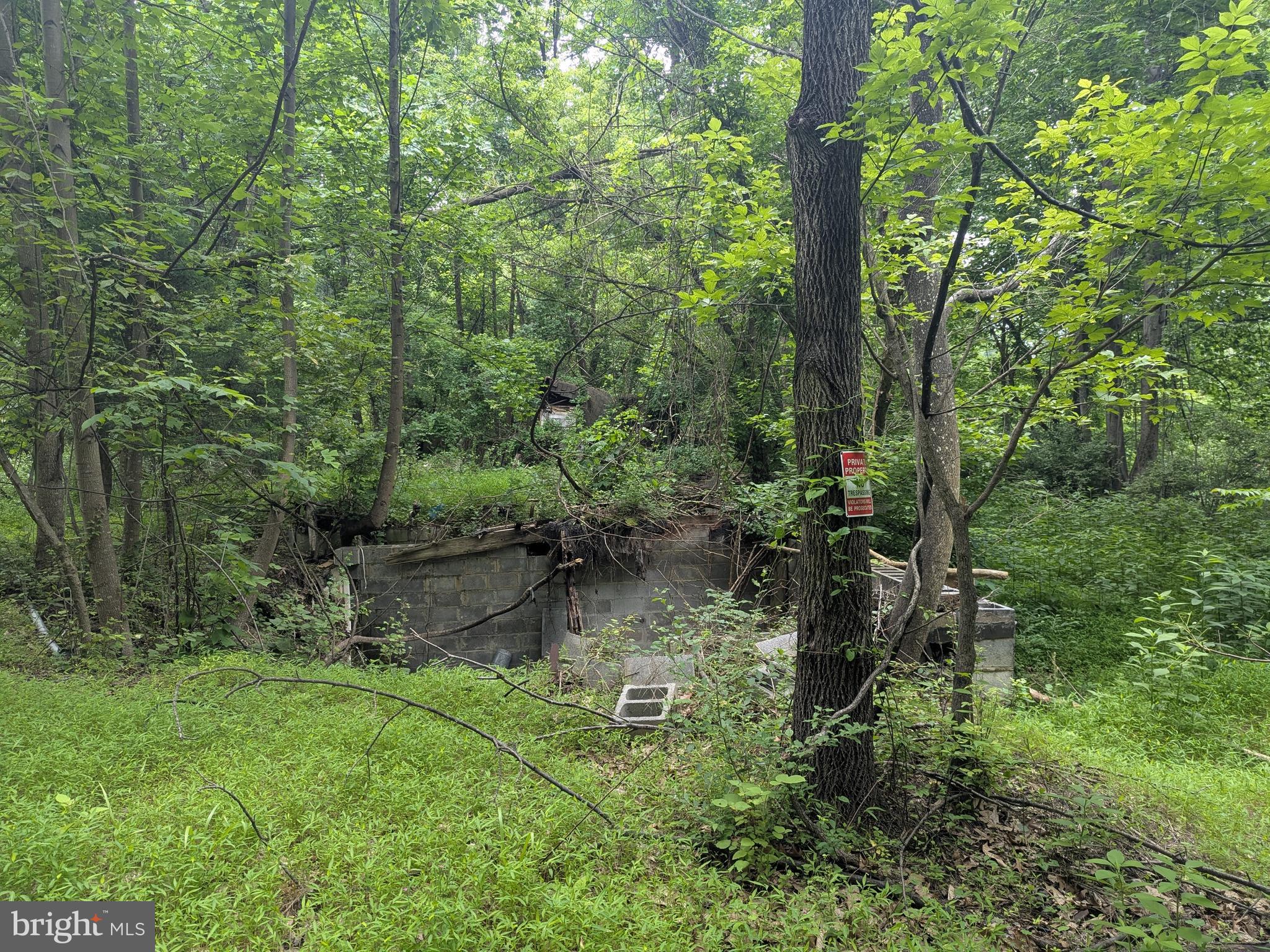 1.57 Acres Chestnut Hill Road Harpers Ferry, WV 25425 - Photo 14 of 14 Old foundation of previous house on 1.57 Acres