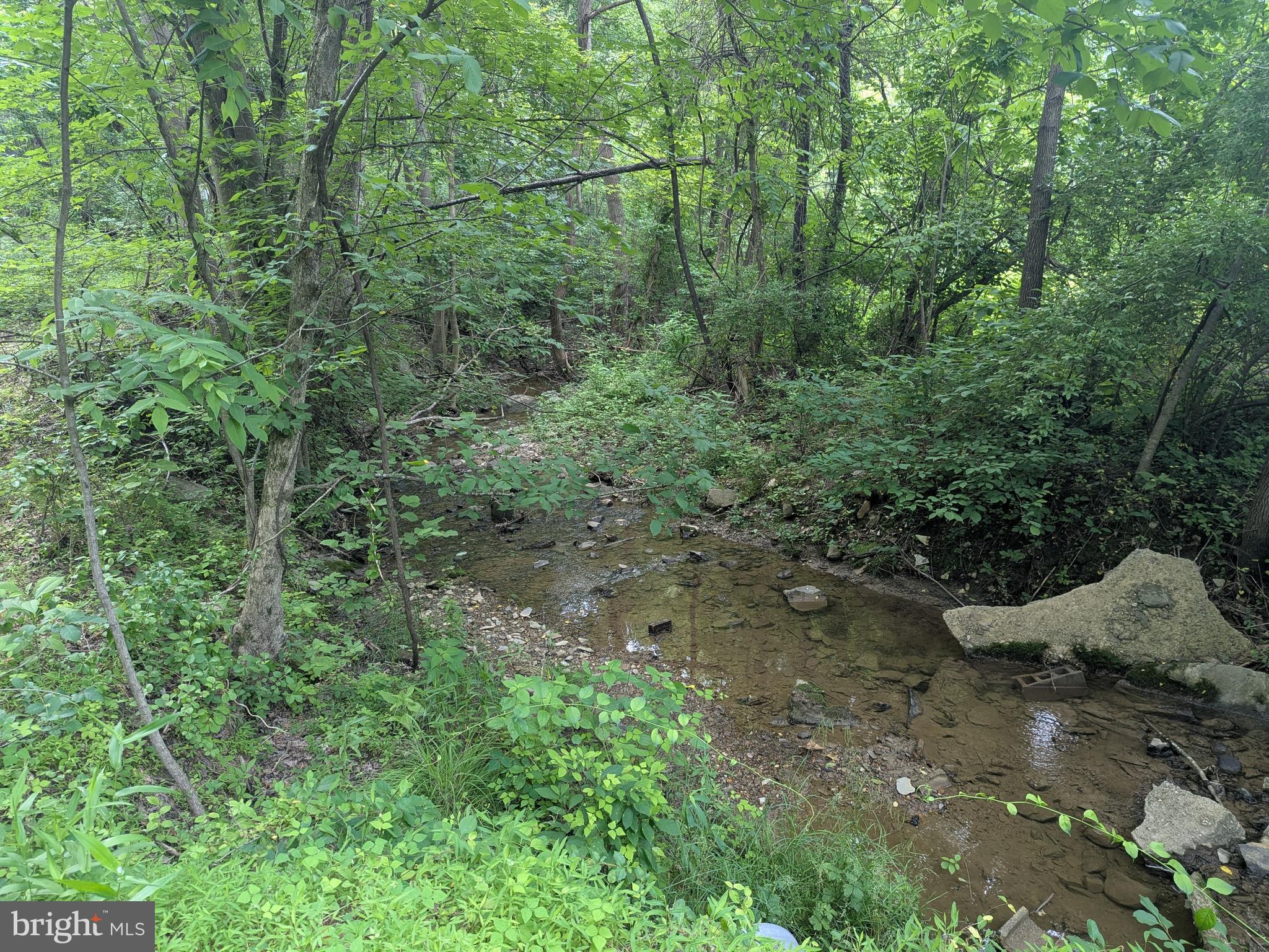 1.57 Acres Chestnut Hill Road Harpers Ferry, WV 25425 - Photo 3 of 14 Steam