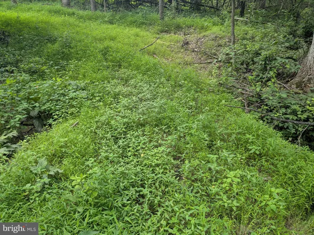 $224,900 | 1.57 Acres Chestnut Hill Road, Harpers Ferry, WV 25425