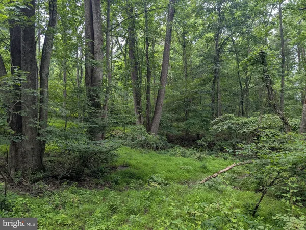 $224,900 | 1.57 Acres Chestnut Hill Road, Harpers Ferry, WV 25425