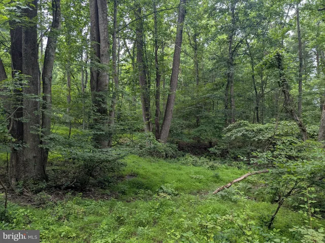 $224,900 | 1.57 Acres Chestnut Hill Road, Harpers Ferry, WV 25425