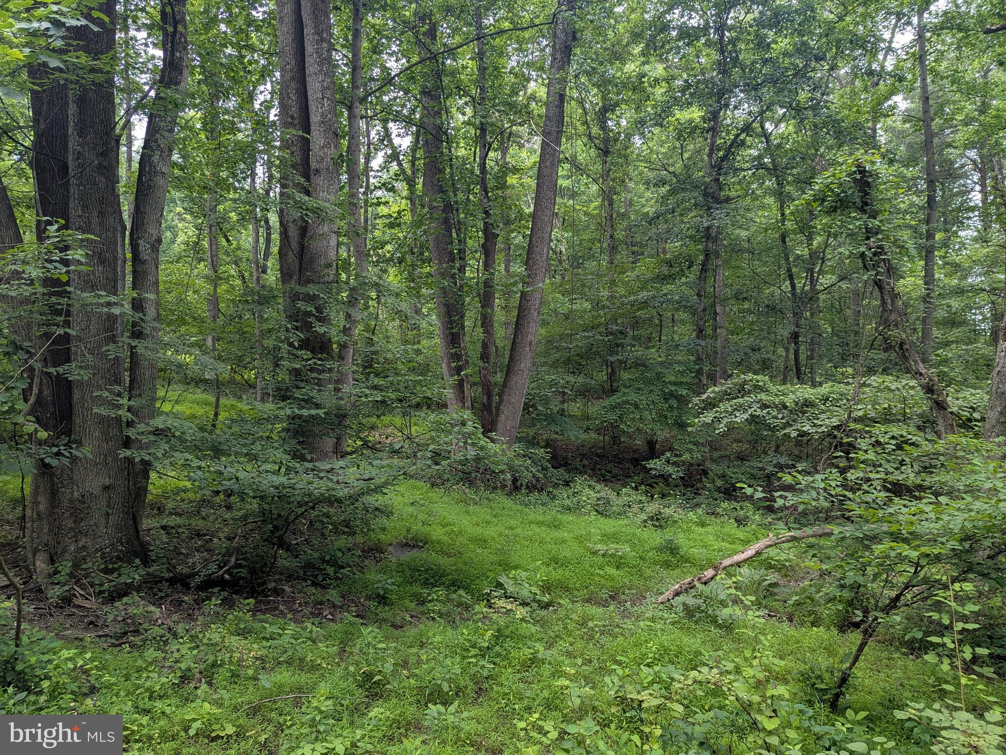 1.57 Acres Chestnut Hill Road Harpers Ferry, WV 25425 - Photo 6 of 14