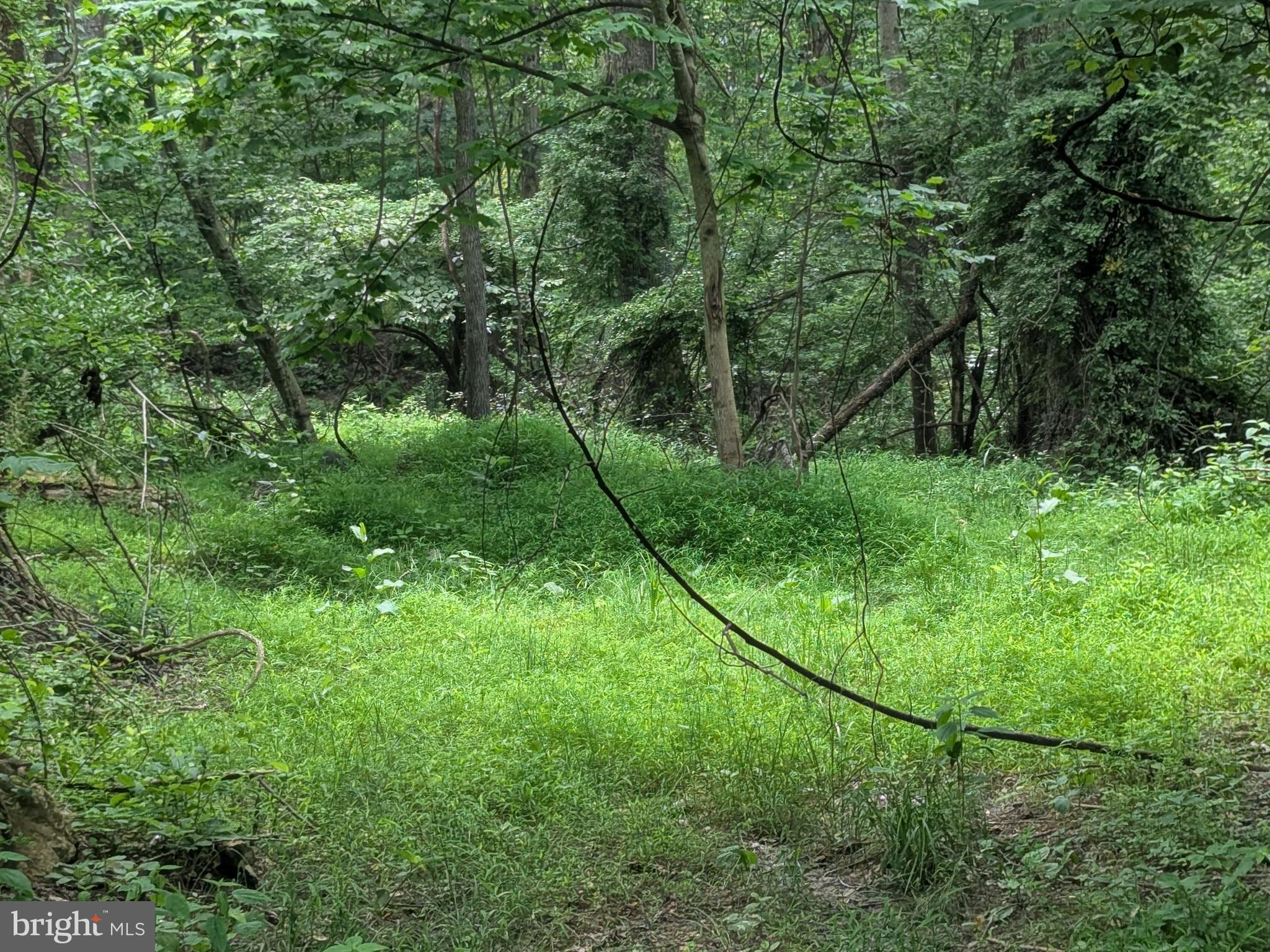 1.57 Acres Chestnut Hill Road Harpers Ferry, WV 25425 - Photo 7 of 14