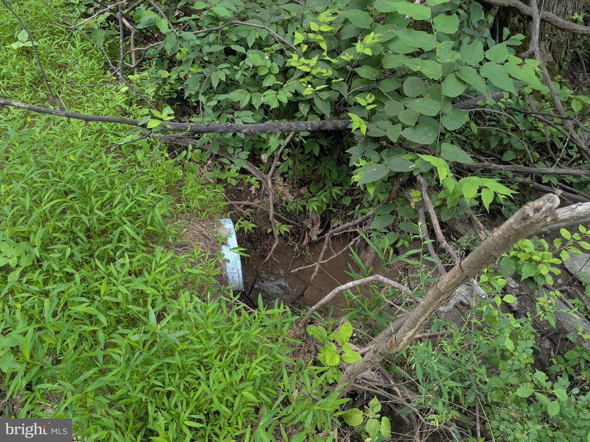 1.57 Acres Chestnut Hill Road Harpers Ferry, WV 25425 - Photo 8 of 14 Road through Property crossing stream