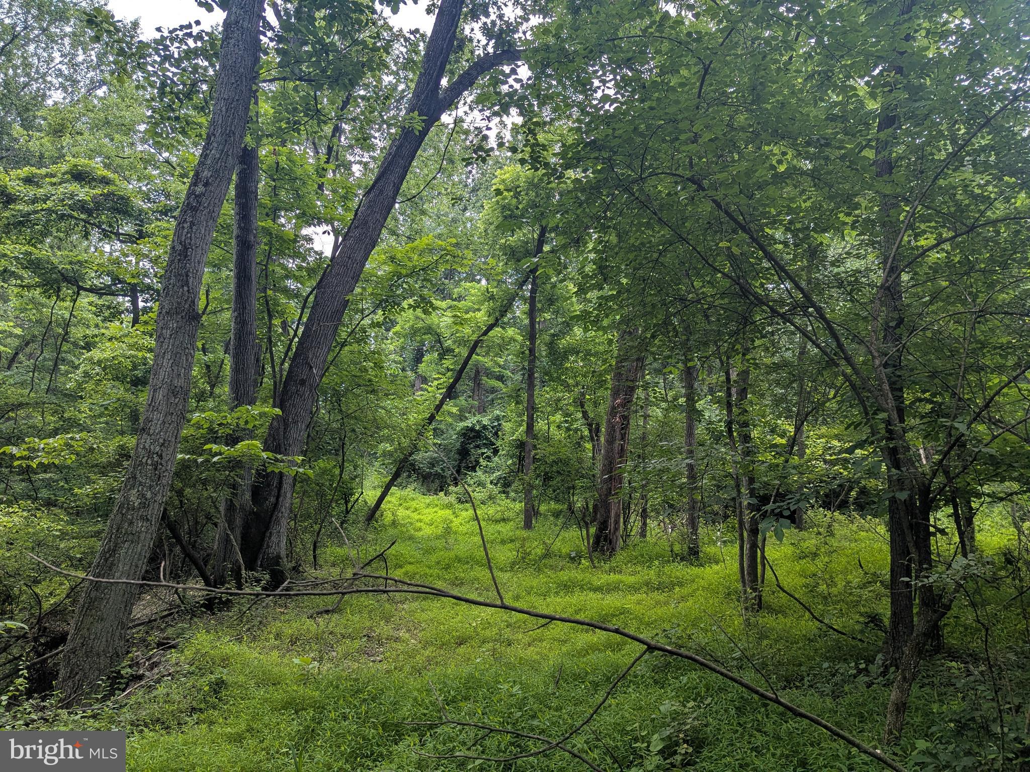 1.57 Acres Chestnut Hill Road Harpers Ferry, WV 25425 - Photo 9 of 14