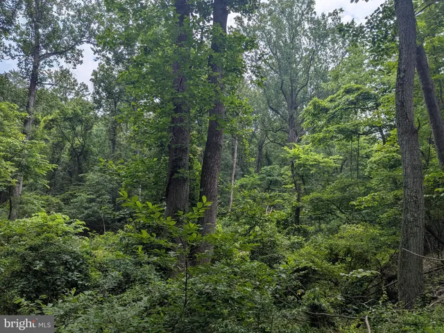 $224,900 | 1.57 Acres Chestnut Hill Road, Harpers Ferry, WV 25425