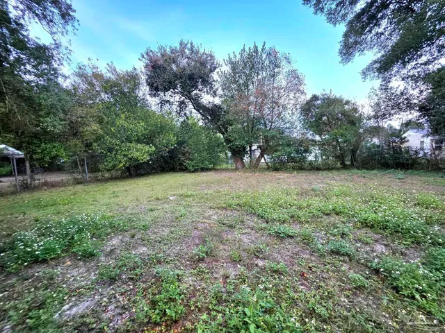 a view of a green field with trees in the background