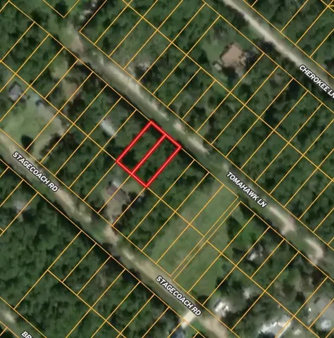 $8,000 | 115 Tomahawk Trail, Livingston, TX 77351