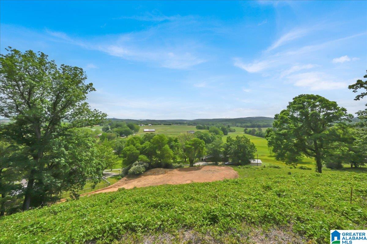 239 Doss Road Cullman, AL 35057 - Photo 26 of 39 Gallery Image 26
