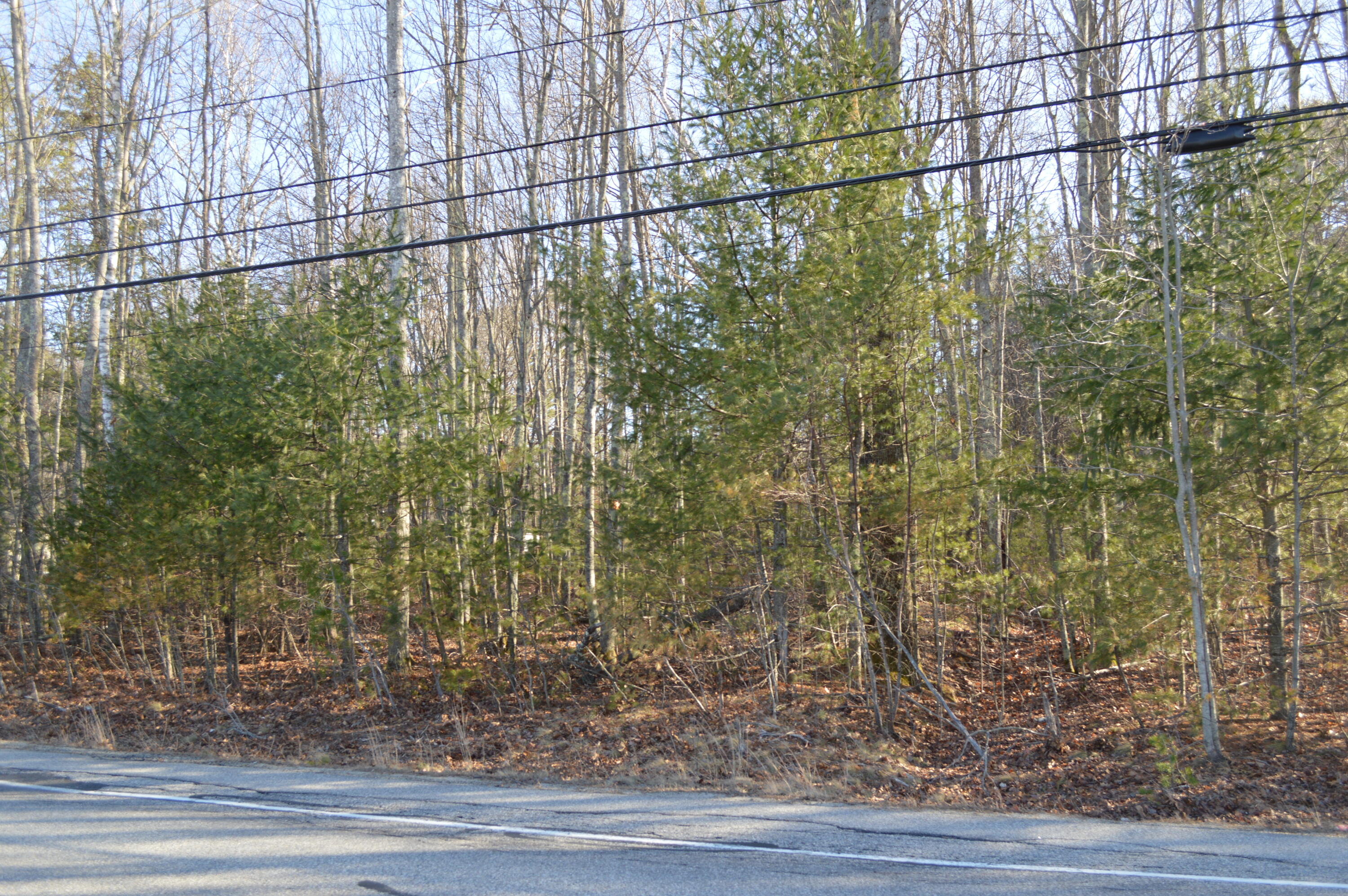 270 Alfred Road Kennebunk, ME 04043 - Photo 8 of 8 DSC_0712