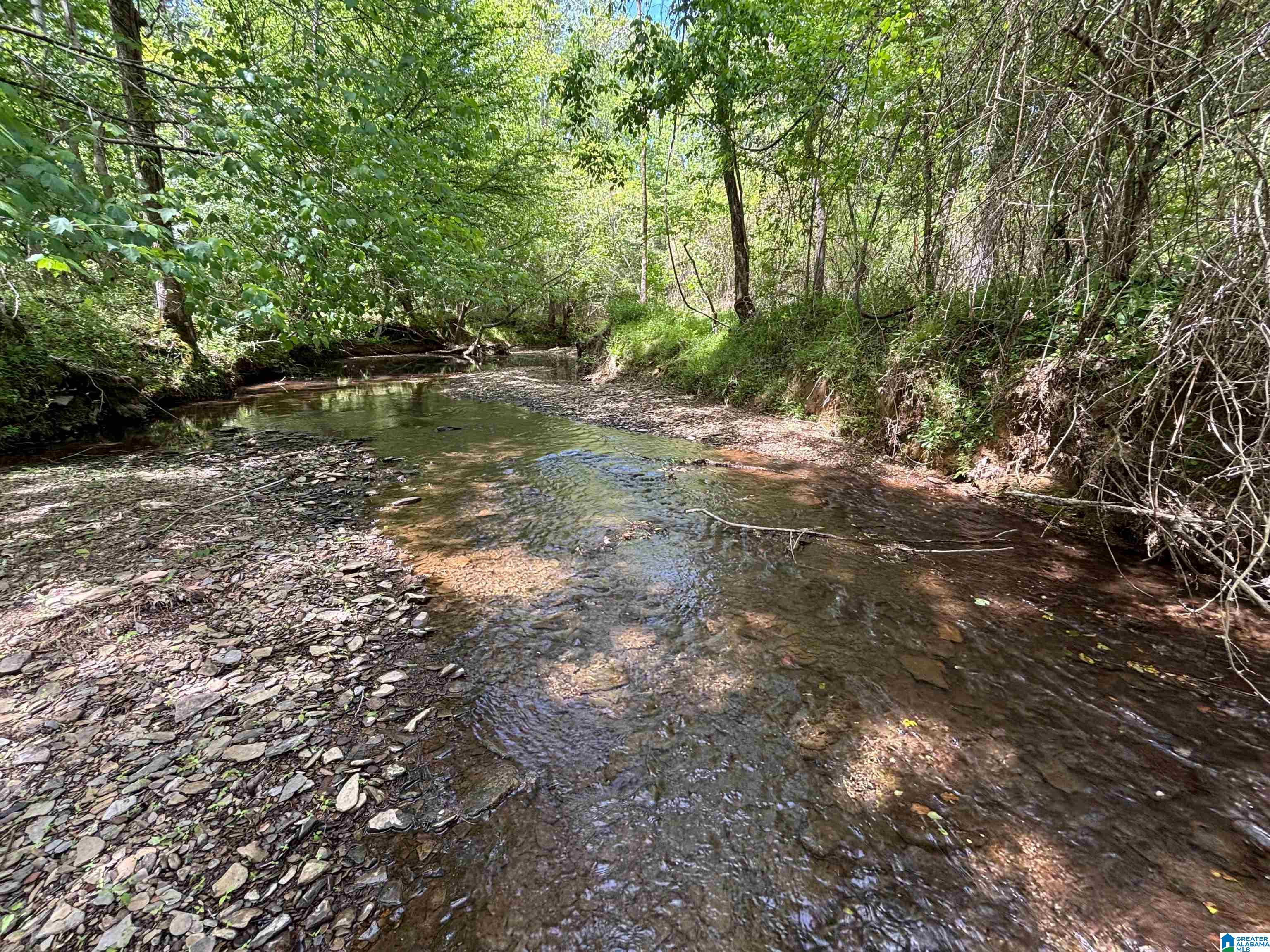 498 Blackwood Road, Unit 14 9 ACRES Parrish, AL 35580 - Photo 1 of 50