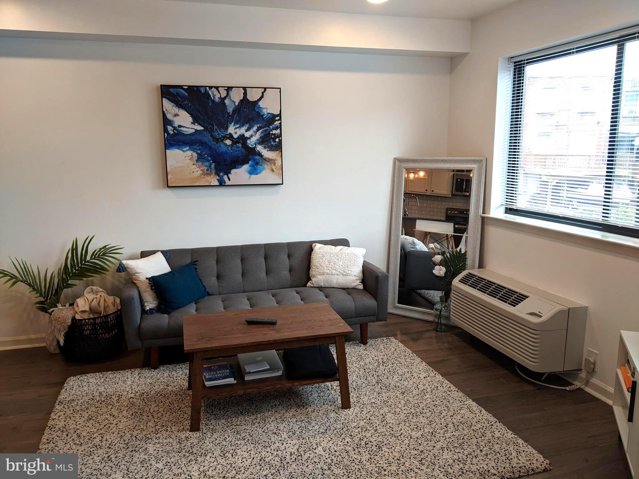 5420 Ridge Avenue, Unit 310 Philadelphia, PA 19128 - Photo 3 of 12 a living room with furniture a rug a potted plant and a window