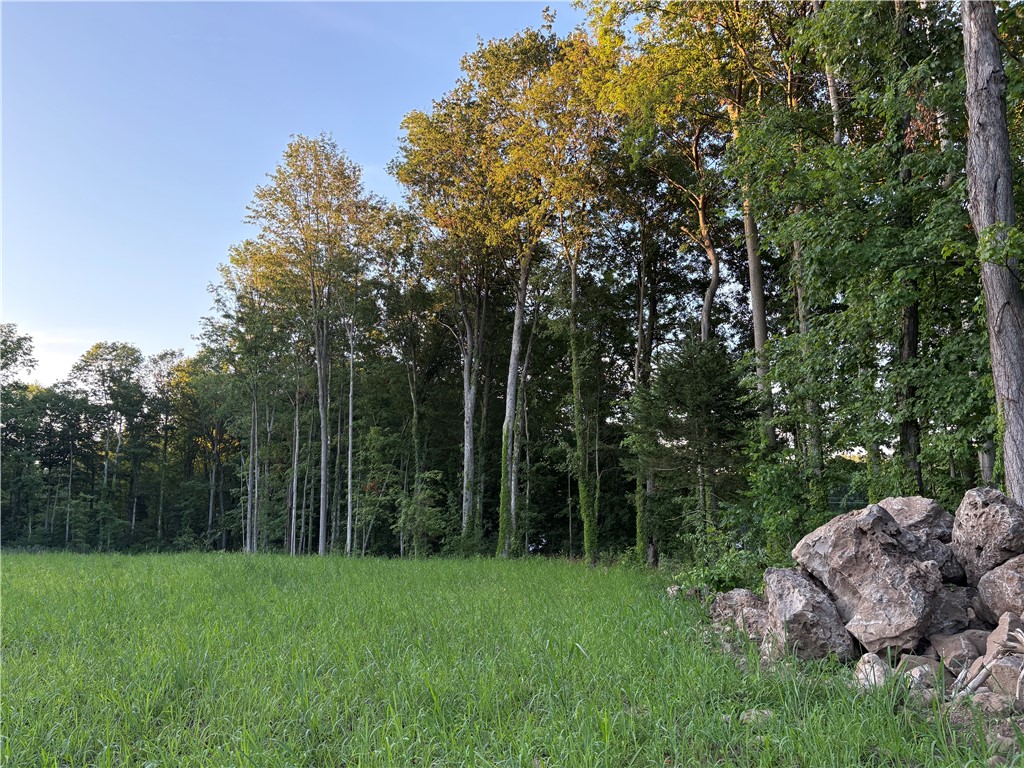 4073 Warner Road Marion, NY 14505 - Photo 42 of 46