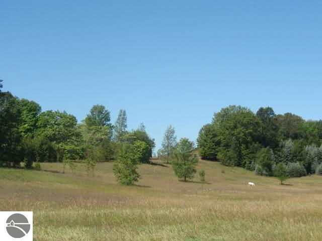 10590 South Weisler Road Cedar, MI 49621 - Photo 7 of 15 1719955-6.JPG