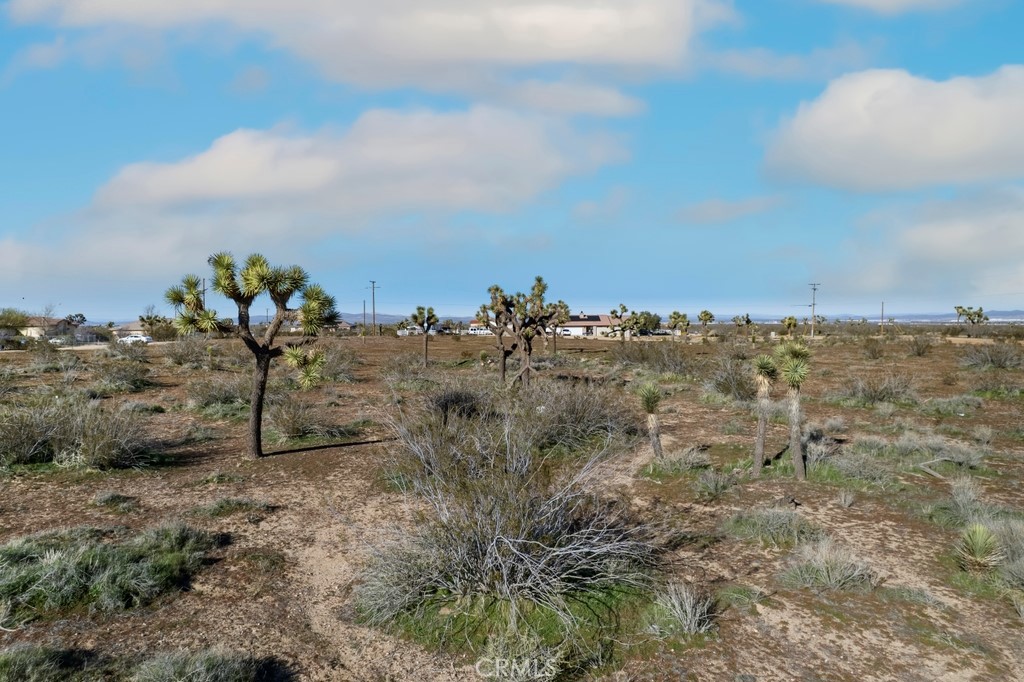 12350 Pueblo Trail Road Victorville, CA 92392 - Photo 3 of 13