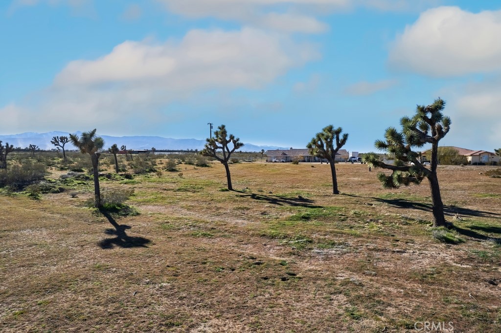 12350 Pueblo Trail Road Victorville, CA 92392 - Photo 4 of 13