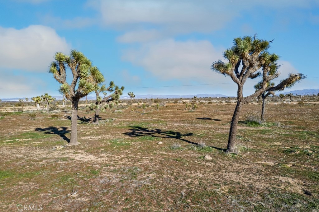 12350 Pueblo Trail Road Victorville, CA 92392 - Photo 5 of 13