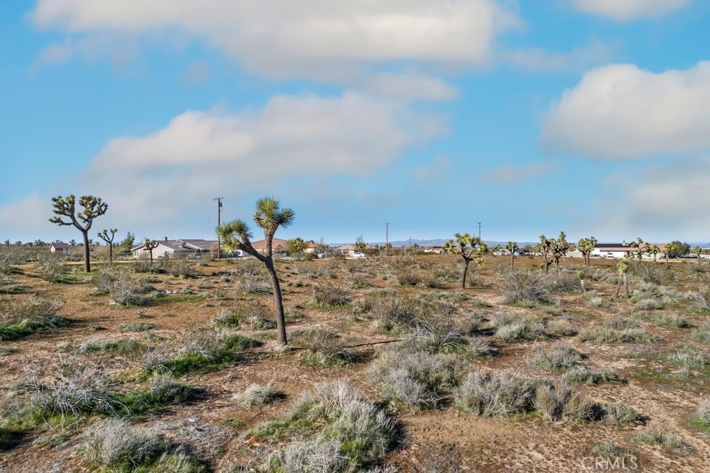 12350 Pueblo Trail Road Victorville, CA 92392 - Photo 6 of 13