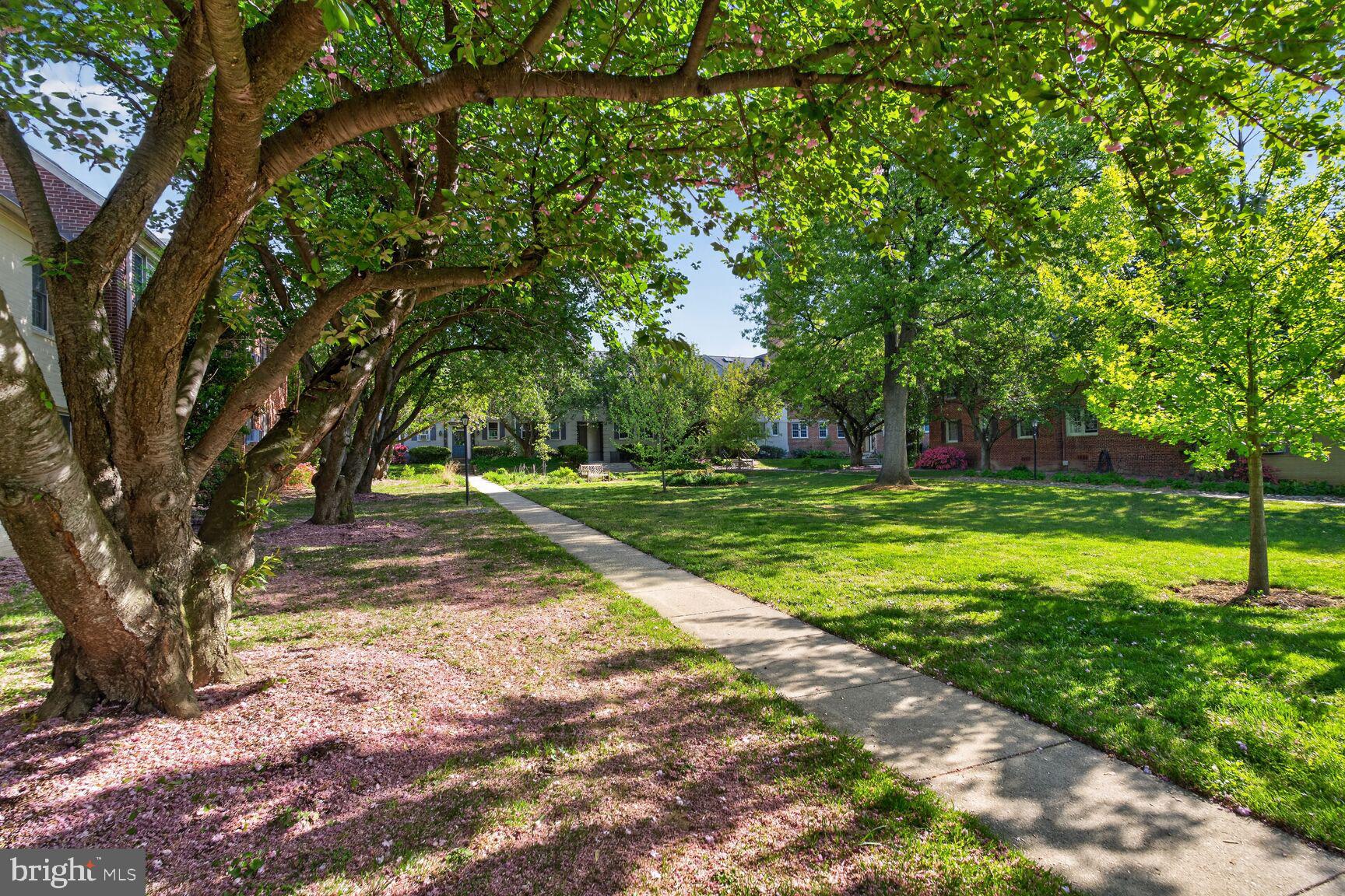 2300 Colston Drive, Unit 201 Silver Spring, MD 20910 - Photo 17 of 17