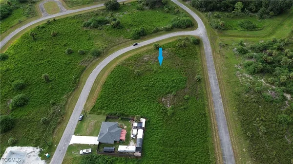 a view of a yard