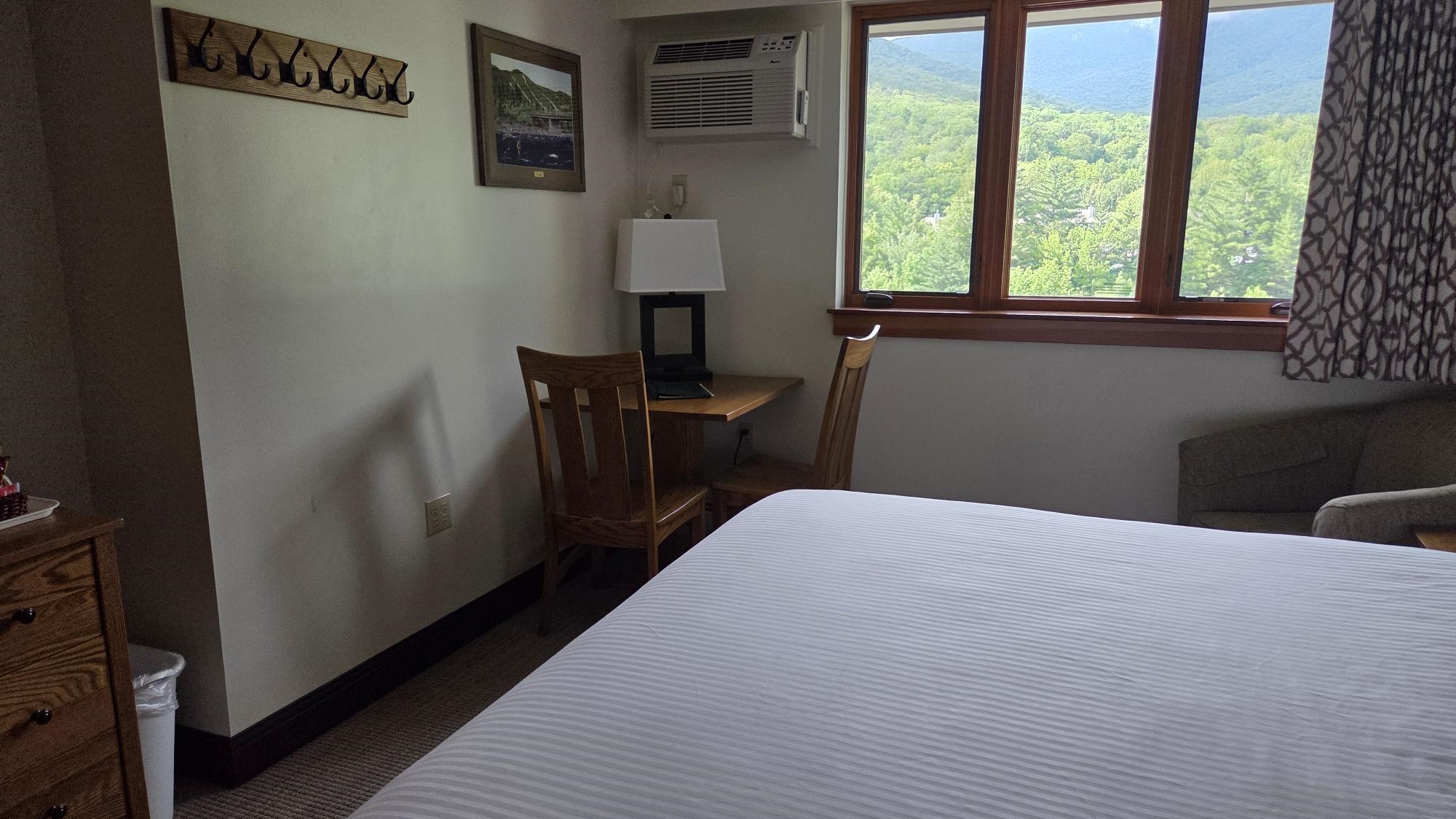 90 Loon Mountain Road, Unit 1325D Lincoln, NH 03251 - Photo 9 of 12