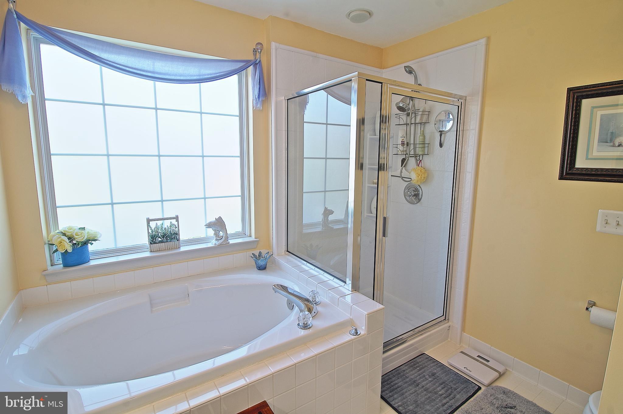 8532 Ellicott View Road Ellicott City, MD 21043 - Photo 25 of 54 Master Bath with Large tub and stand up shower