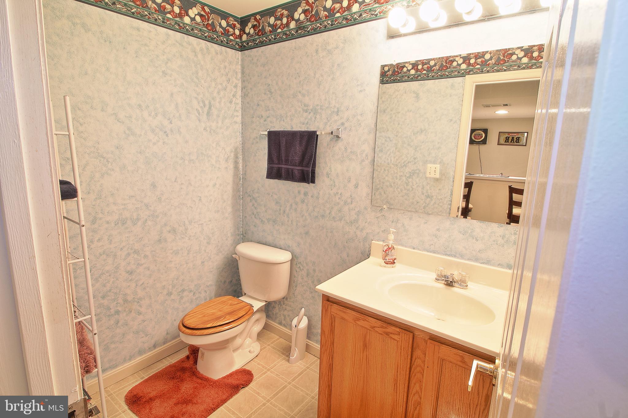 8532 Ellicott View Road Ellicott City, MD 21043 - Photo 44 of 54 Lower level bathroom
