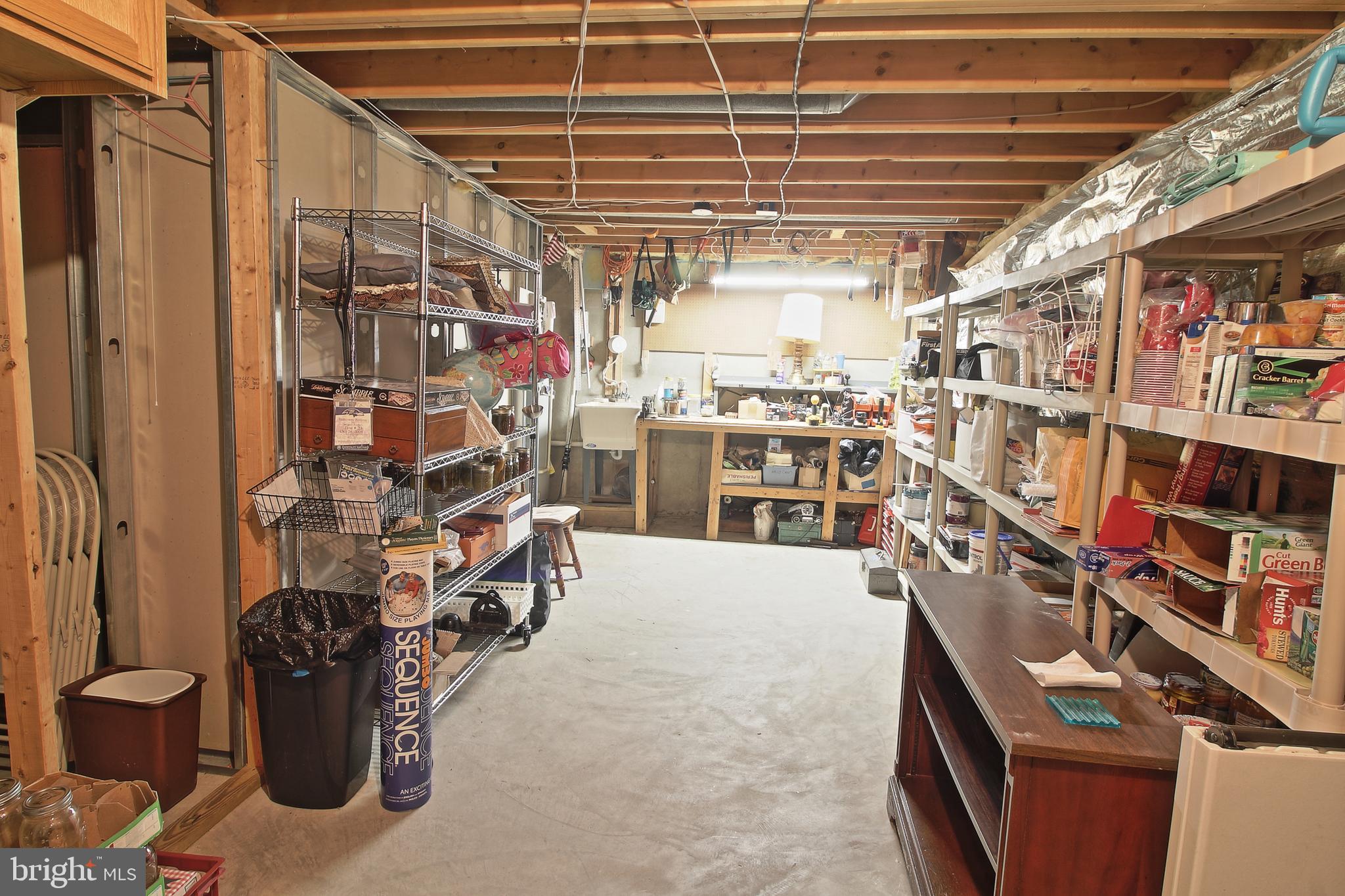 8532 Ellicott View Road Ellicott City, MD 21043 - Photo 45 of 54 Workshop/Utility Room
