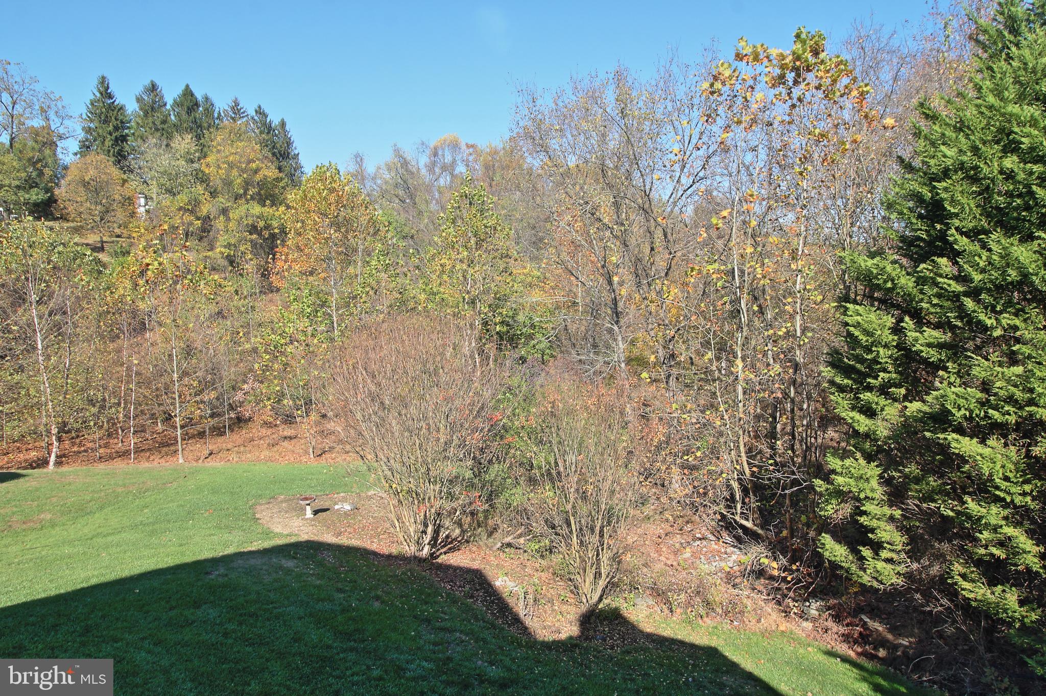 8532 Ellicott View Road Ellicott City, MD 21043 - Photo 52 of 54 Rear overlook into Patapsco Valley