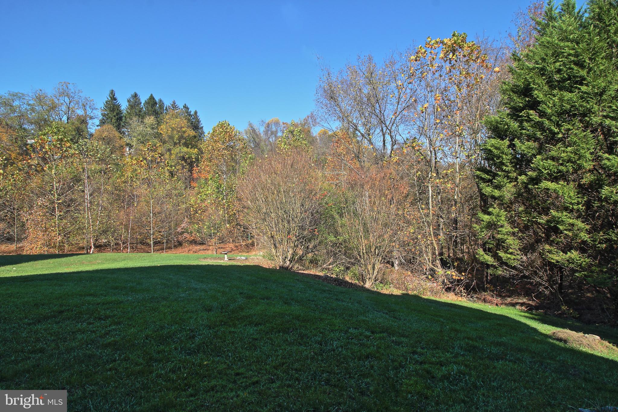 8532 Ellicott View Road Ellicott City, MD 21043 - Photo 54 of 54 Rear overlook into Patapsco Valley