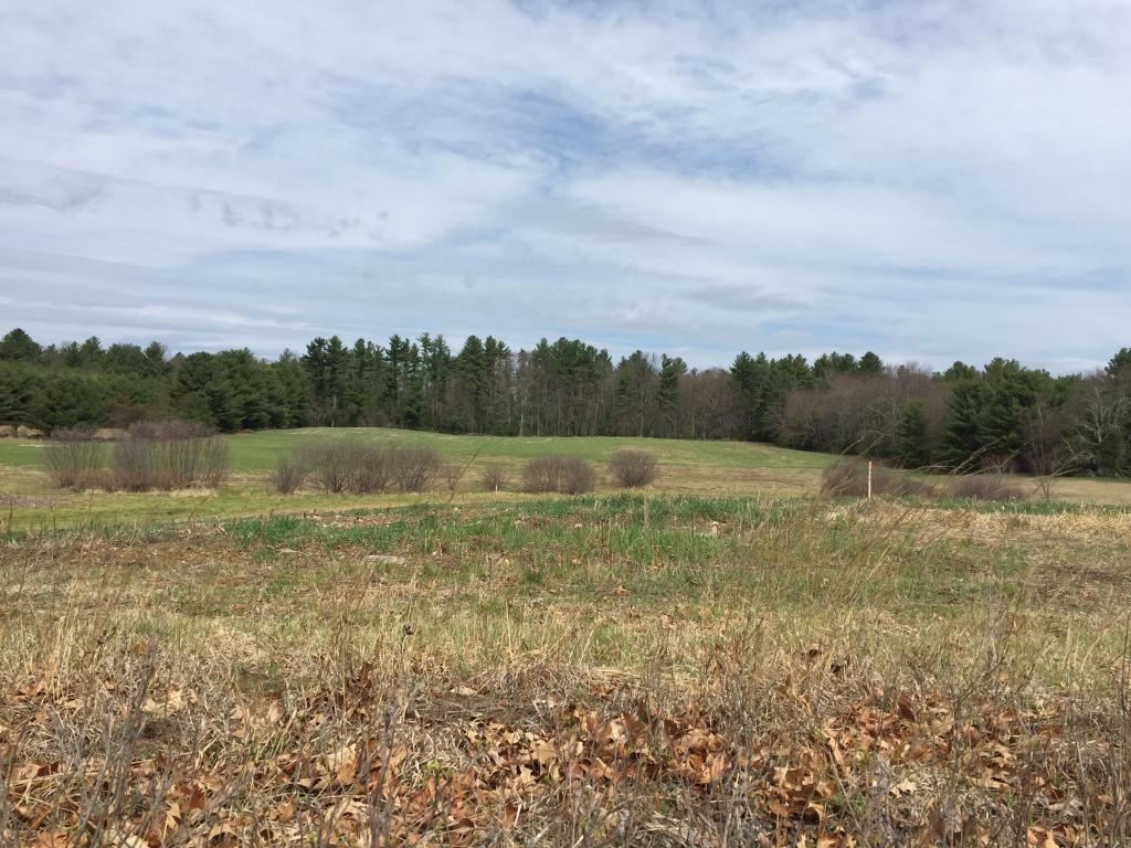 Tbd Duston Road Salem, NH 03079 - Photo 1 of 4
